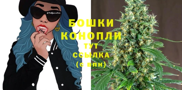 гидра Медногорск